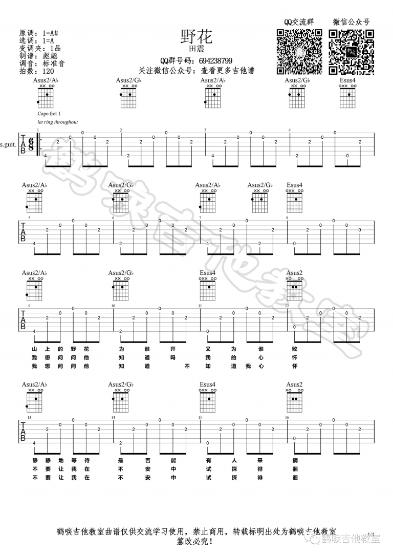 野花吉他谱A调弹唱谱吉他教学视频第(1)页